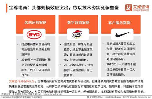 艾媒咨詢2020上半年中國品牌電商服務商行業研究報告 信息咨詢服務的價值與趨勢